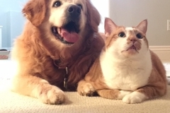 Abbie-and-kitty